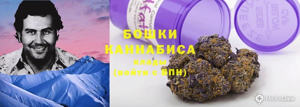 индика Богданович