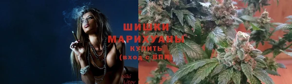таблы Богородицк