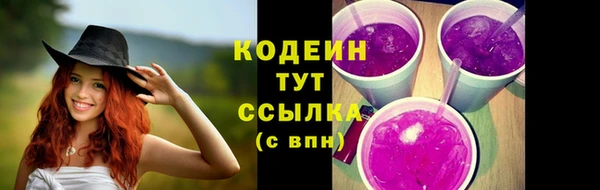 таблы Богородицк