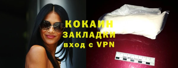 индика Богданович