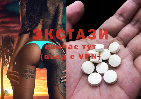 индика Богданович