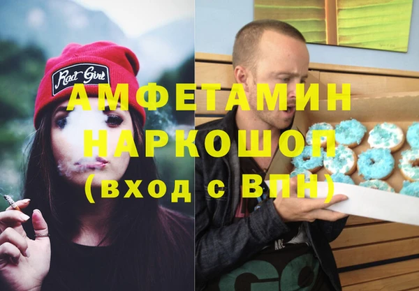 индика Богданович