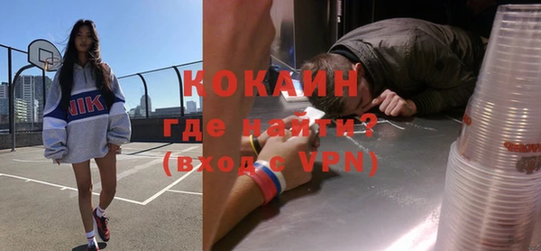 индика Богданович