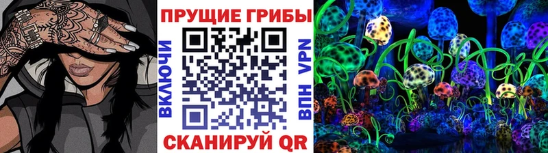 Галлюциногенные грибы GOLDEN TEACHER  blacksprut как войти  Княгинино 